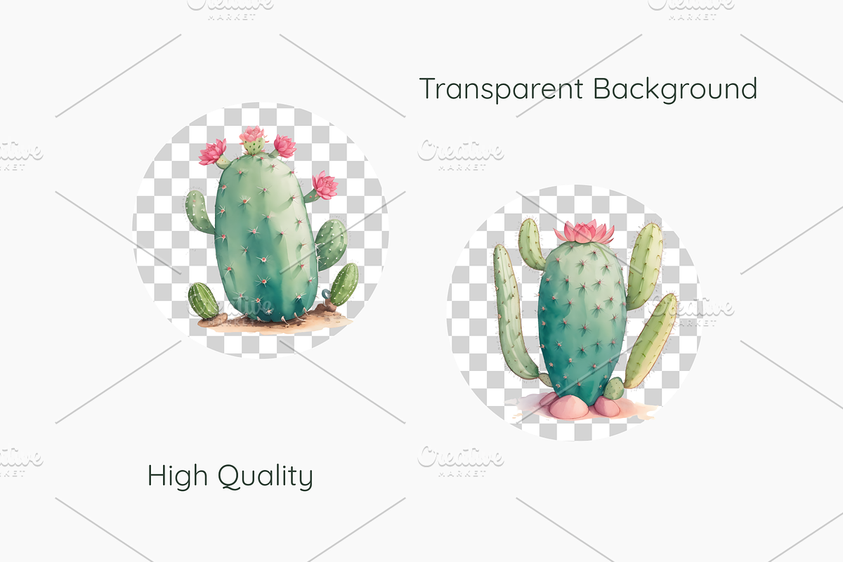 Cute Cactus Watercolor Clipart, a Decorative Illustration by jvxvxnism (Photo 4 of 6)
