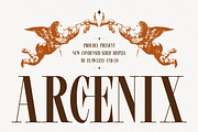 Arcenix - Serif Display Font, a Serif Font by Flawless And Co (Thumbnail 1 of 10)
