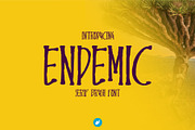 Endemic - Serif brush font, a Serif Font by WAP (Thumbnail 1 of 5)
