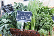 Holistic Lifestyle Bundle (Green), a Health & Medical Photo by Wellness Stock Market (Thumbnail 8 of 37)