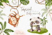Tropical Baby Animals Watercolor set, an Animal Illustration by Alamella (Thumbnail 2 of 8)