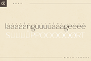 Bereft - Display Typeface, a Font by Only Fonts (Thumbnail 9 of 10)