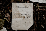 Typewriter and Script font pack, a Font by Ana's Fonts (Thumbnail 18 of 19)