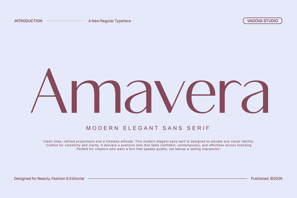 Amavera Modern Elegant Sans Font, a Sans Serif Font by Vadovastd (Photo 1 of 9)