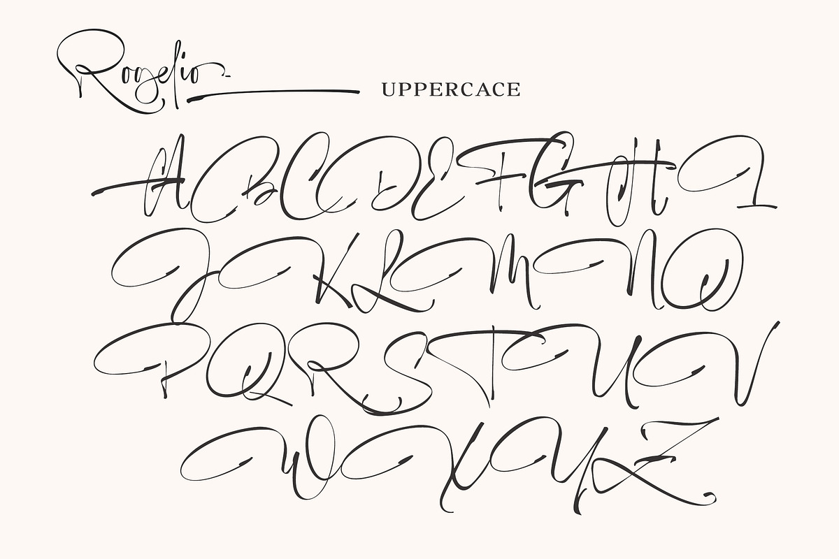 Rogelio Script, a Handwritten Font by joelmaker (Photo 6 of 17)