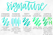 Go Wild Procreate Lettering Brushes, a Brush Add-On by Nap Time Design Co. (Thumbnail 3 of 4)