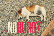 Ultimatum Font, a Sans Serif Font by Cruzine (Thumbnail 5 of 5)