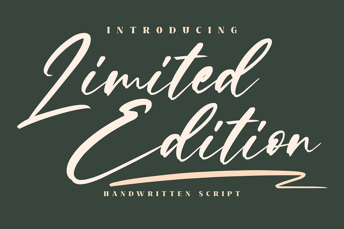 Limited Edition Signature Script LS, a Script Font by GranzCreative (Photo 1 of 15)
