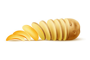 Realistic cut potato slices are, a Food Illustration by Vectorbuum