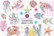 Preppy Coastal Sea Life Clipart, a Decorative Illustration by OKArtHub (Thumbnail 1 of 8)
