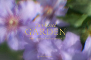 Blurry Flowers Abstract Backgrounds, a Background Graphic by Yuliya Derbisheva (Thumbnail 1 of 15)