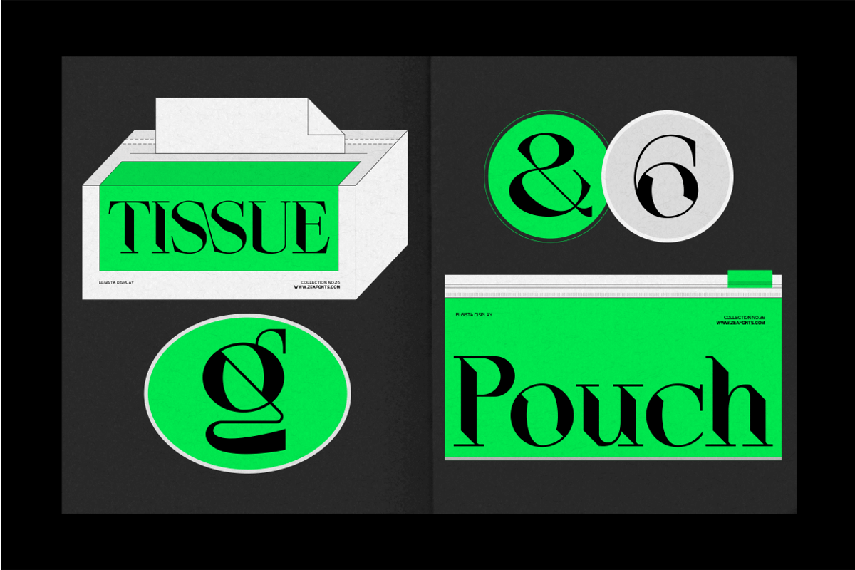 ELGISTA, a Serif Font by Bagerich Type Foundry (Photo 5 of 13)