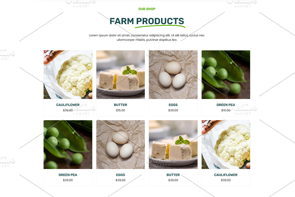 Organic Farm Food Elementor Template, a WordPress Template by HasnainDEV (Photo 3 of 7)