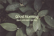 Wahog - Sans Serif With Nice Italic, a Sans Serif Font by AuthenType (Thumbnail 12 of 15)