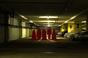 Aorta