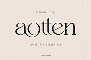 Aotten, a Serif Font by Penatic Studio (Thumbnail 1 of 10)