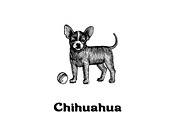 Dogs collection, part 1, an Animal Illustration by ZotovShop (Thumbnail 8 of 9)