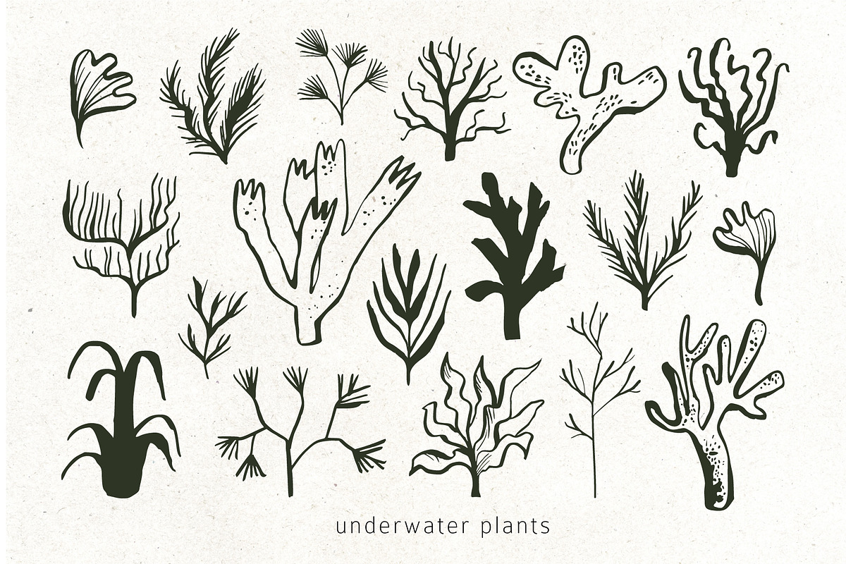 INKED SEALIFE hand drawn vector set, an Animal Illustration by Lena Nikolaeva (Photo 6 of 11)