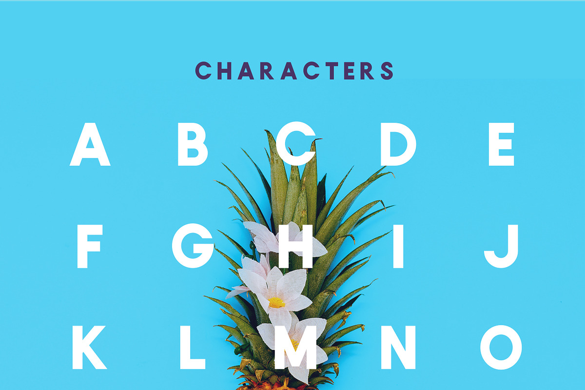 VICTORIA - Glamour, Elegant Typeface preview 3
