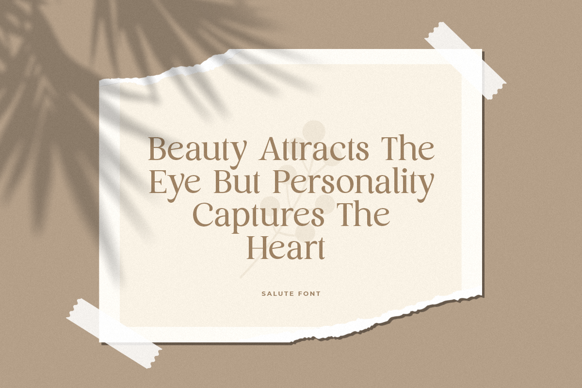 Salute - Modern Vintage Beauty Font, a Serif Font by Sensatype (Photo 12 of 21)