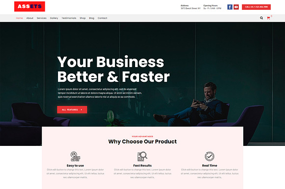 Assets Multi-Purpose WordPress Theme preview 7