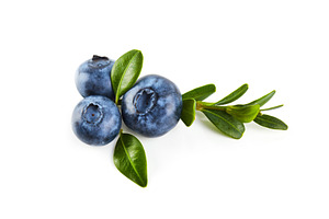 Blue berry close up