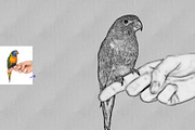 Line Art Sketch Photoshop Action, an Action Add-On by MRI STUDIO (Thumbnail 13 of 13)
