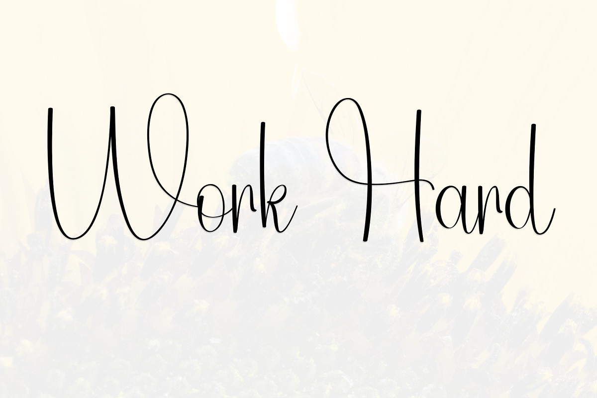 Diligent, a Handwritten Font by InermediaSTUDIO (Photo 3 of 8)