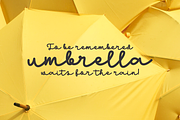 Cinthia, a Script Font by almazstudio (Thumbnail 7 of 10)