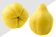 Quince fruit pieces, an Object Graphic by Fruits+Veggies (Thumbnail 5 of 7)