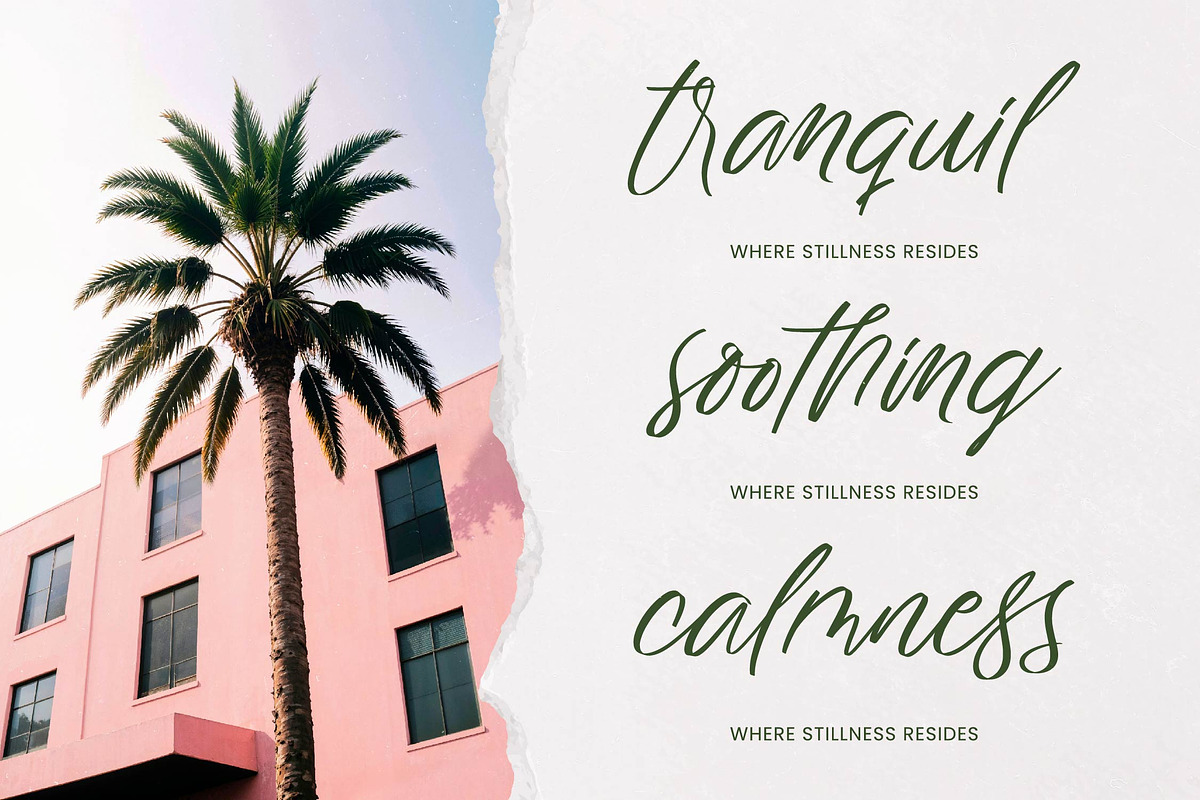 Ghostoy Charless Aesthetic Script, a Script Font by stylishtype.co (Photo 11 of 15)