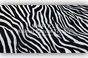 24 Animal Pattern Texture, a Background Graphic by NOMO DESIGN (Thumbnail 22 of 24)
