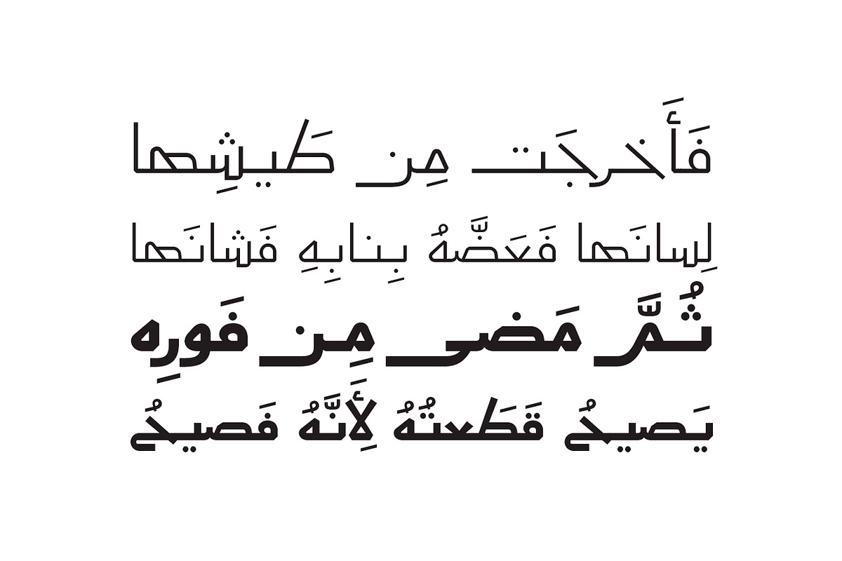 Aaber - Arabic Typeface, a Sans Serif Font by Mostafa El Abasiry (Photo 10 of 17)