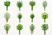 Vegetables Clipart Farm Kitchen PNG, a Food Illustration by SugarCloudStudioArt (Thumbnail 6 of 7)