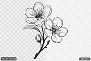 Cherry Blossom SVG PNG Bundle, an Illustration by Actual Pixel (Thumbnail 16 of 33)