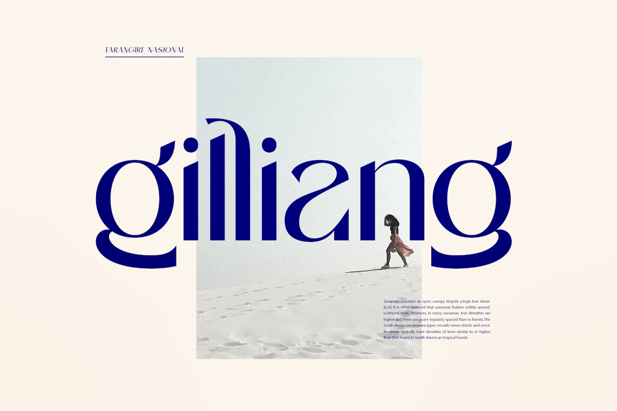 Stanger, a Sans Serif Font by Dora Typefoundry (Photo 10 of 22)