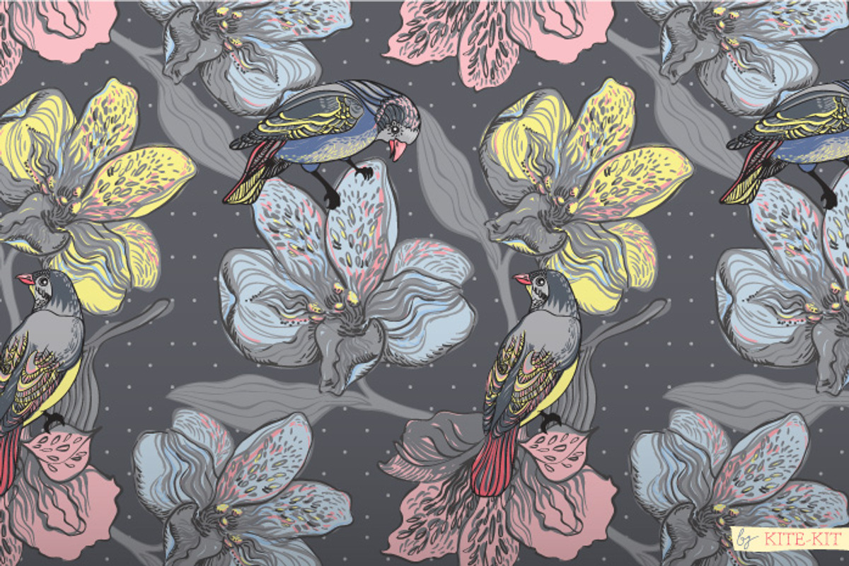 Beautiful birds preview 2