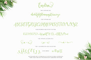 Carelina - Modern Calligraphy, a Script Font by erlosDESIGN (Thumbnail 11 of 12)
