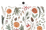 Watercolor Clipart - Winter Wildwood, a Decorative Illustration by Beigetime (Thumbnail 3 of 16)
