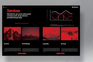 Swiss Style Brochure Template