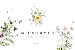 MIDSUMMER Watercolor Wildflowers