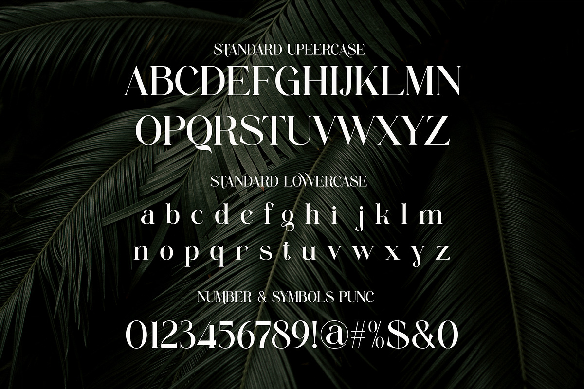 Mulnir Modern Serif Font, a Serif Font by Alfinart (Photo 10 of 11)