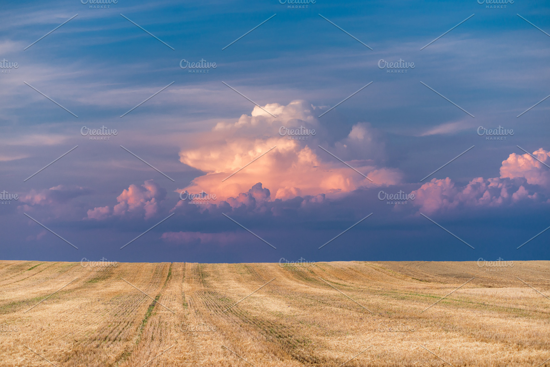 Stubble field after the harvest, an Industrial Photo by Mark Borbely