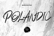 Polandic SVG Brush Font, a Handwritten Font by MACK 75 (Thumbnail 1 of 10)