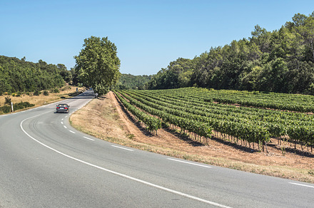 Vineyards and road stock photo containing road and vineyard, a Nature Photo by Deyan Georgiev