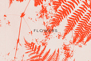 FLORAL Cyanotype, a Texture Graphic by nkate (Thumbnail 5 of 10)