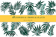 Tropical seamless patterns & leaves, a Pattern Graphic by EltaMaxArt (Thumbnail 14 of 15)