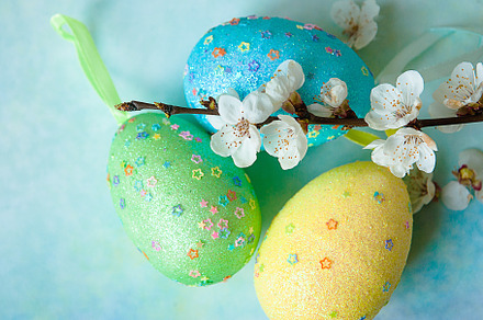 Painted easter eggs and branches of 