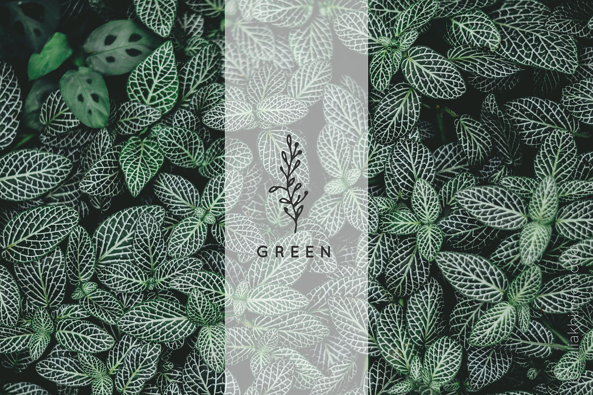 Logo Pack Volume 5. Florals, a Branding & Logo Template by Mint Air Studio (Photo 21 of 21)