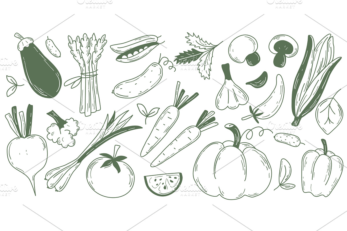 Hand drawn farm vegetables set, a Food Illustration by Tati_Kli